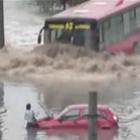 quando_um_troll_esta_no_volante
