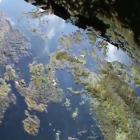 estacao_de_tratamento_de_agua_da_cagepa_esta_abandonada_segundo_stiupb