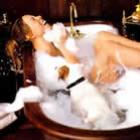 caes_de_mariah_carey_no_psicologo