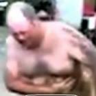 gordo_sempre_alegrando_nossos_dias
