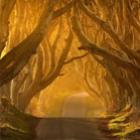 dark_hedges_um_lindo_corredor_de_arvores_na_irlanda