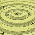 a_explicacao_para_os_circulos_nas_plantacoes