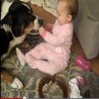bebe_se_diverte_ao_ficar_dando_biscoitos_na_boca_do_seu_cachorro_de_estimacao_