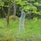 aprenda_a_fazer_seu_proprio_fantasma
