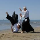 Aprenda as melhores técnicas do Aikido