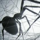 loom_uma_animacao_aterradora_e_ultrarealista