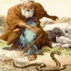 a_vara_de_moises_que_nunca_virou_serpente