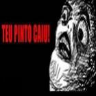 _seu_pinto_caiu