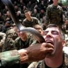 Soldados bebem sangue de cobra em treinamento 