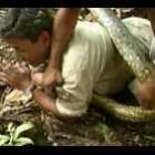 anaconda_ataca_reporter_