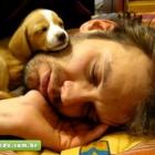 animais_de_estimacao_proporcionam_o_mesmo_calor_humano_dos_amigos