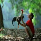 super_fotos_tiradas_no_momento_exato