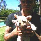 david_beckham_mostra_o_novo_mascote_da_familia