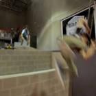 academia_de_parkour