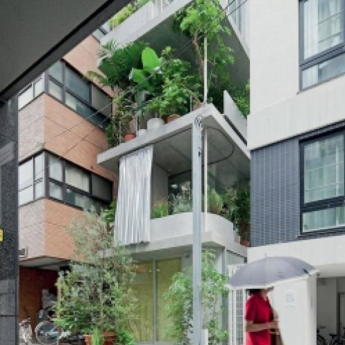 Casa com jardim vertical compacta no coração de Tóquio