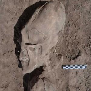 Crânios com forma alienígena foram encontrados no México