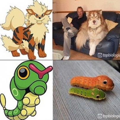  20 pokémons que existem na vida real