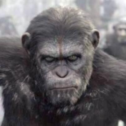 Planeta dos Macacos 2: O Despertar, 2014. Teaser Trailer HD Legendado.