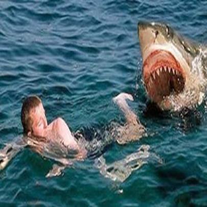 Rapaz empurra amigo em cima de tubarão, veja o que aconteceu…