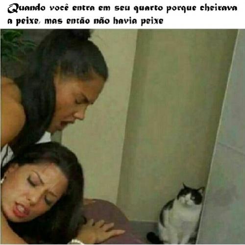 Quando seu gato sente o cheiro de peixe no quarto, mas não havia peixe