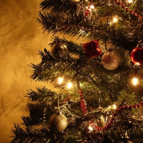 Especial de Natal – A Árvore de Natal