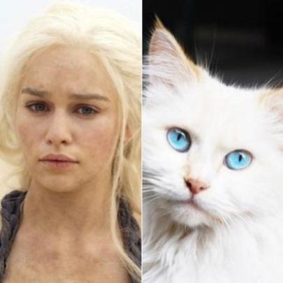 E se os personagens de Game of Thrones fossem gatos?