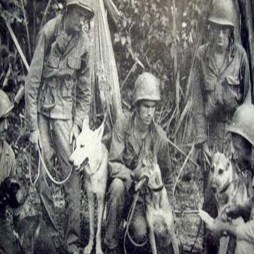 10 Fatos sobre a 2° Guerra Mundial 