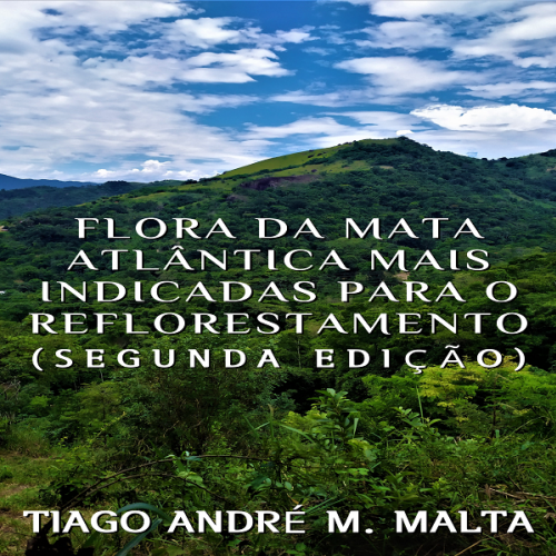 Flora da Mata Atlântica mais indicadas para o Reflorestamento (Segunda