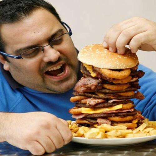 5 Coisas que você não sabia sobre Gorduras .