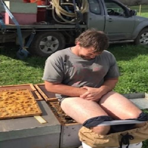 O desafio é sentar em uma colmeia de abelhas