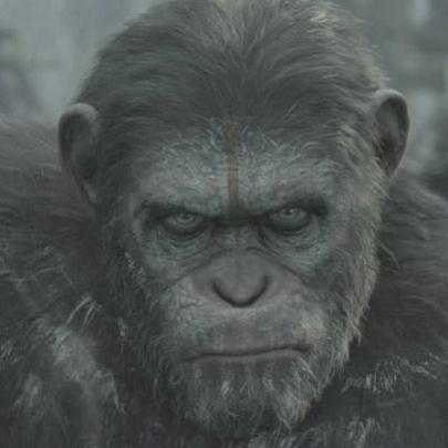 Trailer final de Planeta dos Macacos: O Confronto