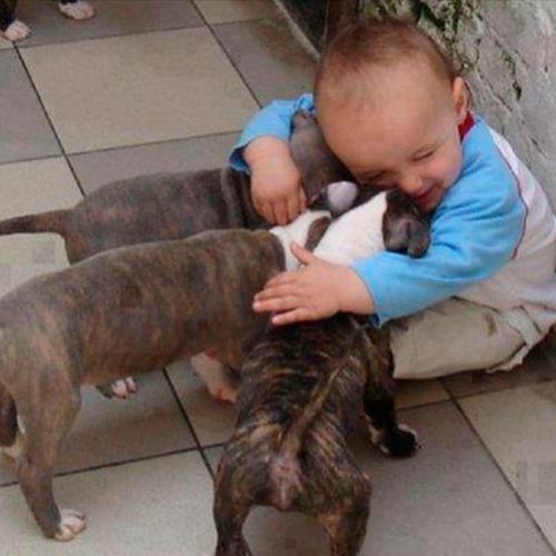 21 Imagens que provam que crianças precisam de animais de estimação