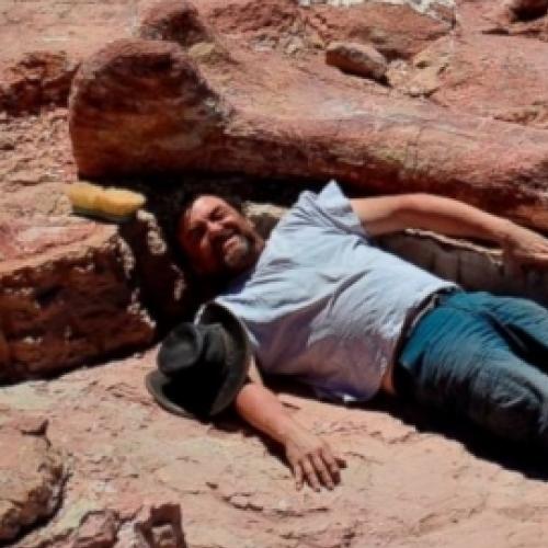 Top 10 fósseis mais bizarros já descobertos