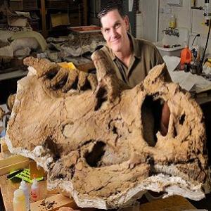 Fóssil de dinossauro carnívoro é achado em SP