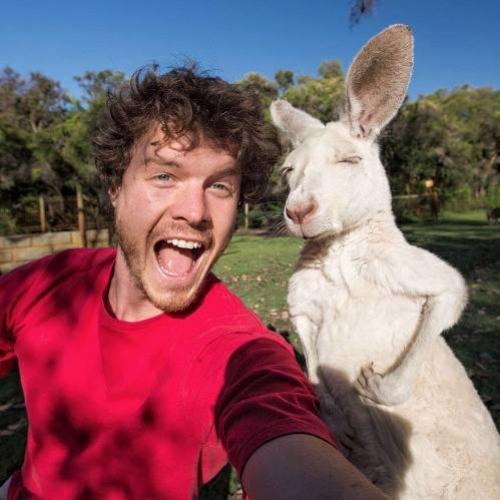 A arte do selfie com animais