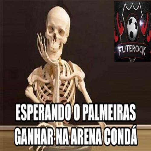 Palmeiras perde,Flamengo e Santos vencem, veja os melhores Memes