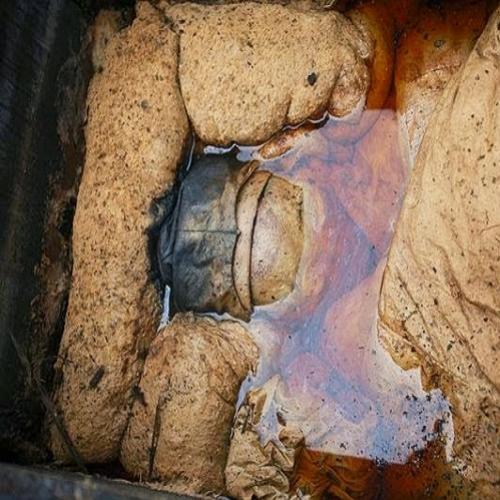 Os arqueólogos ficaram chocados quando eles desenterraram esta múmia n