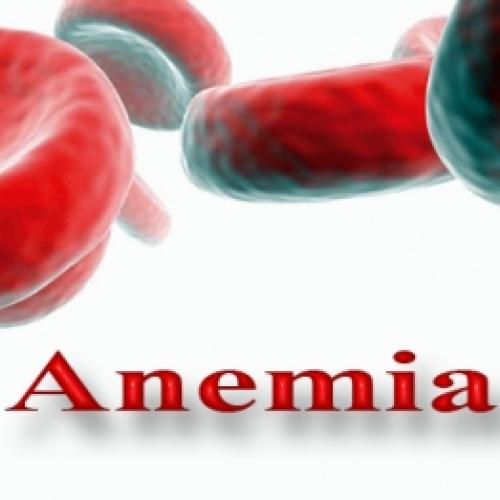 entenda e evite a anemia
