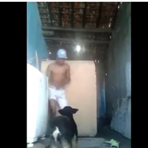  O incrível cachorro anti funk 