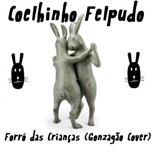 Coelhinho Felpudo - Forró das Crianças (Gonzagão Cover)