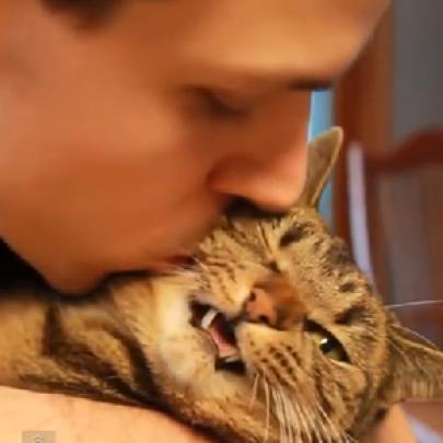 Cães e gatos que não gostam de serem beijados