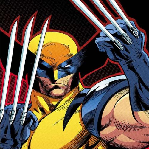 5 Mortes do Wolverine