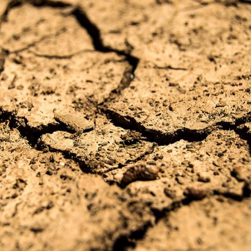 Recuperação leva mais tempo em áreas afetadas pela seca, diz estudo