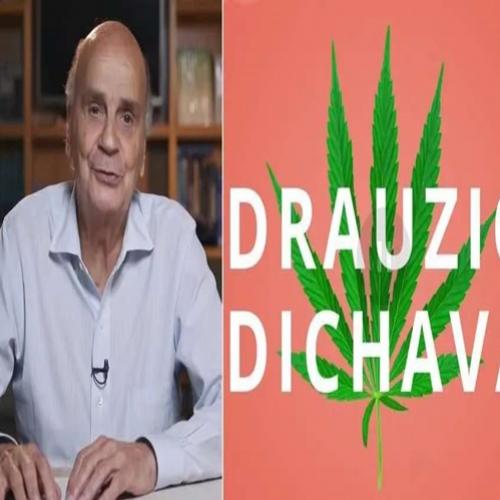 Médico explica tudo que você precisa saber sobre maconha (ou quase)