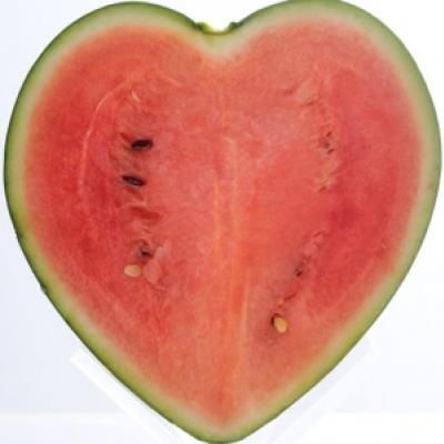 A primeira melancia com formato de coração
