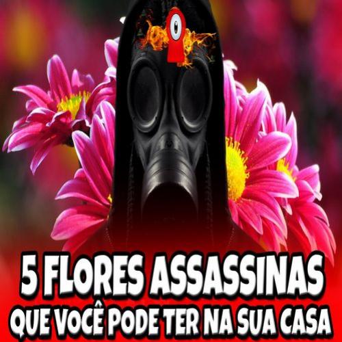 Flores assassinas que talvez você tenha na sua casa