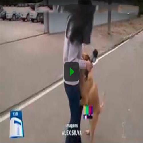 Cachorro ataca repórter durante reportagem ao vivo