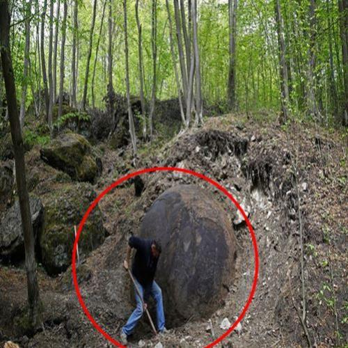 Esfera misteriosa encontrada em floresta deixa cientistas intrigados