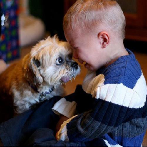 10 Razões pelas quais as crianças precisam de animais de estimação