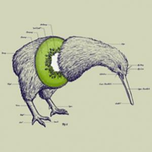 Anatomia do kiwi
